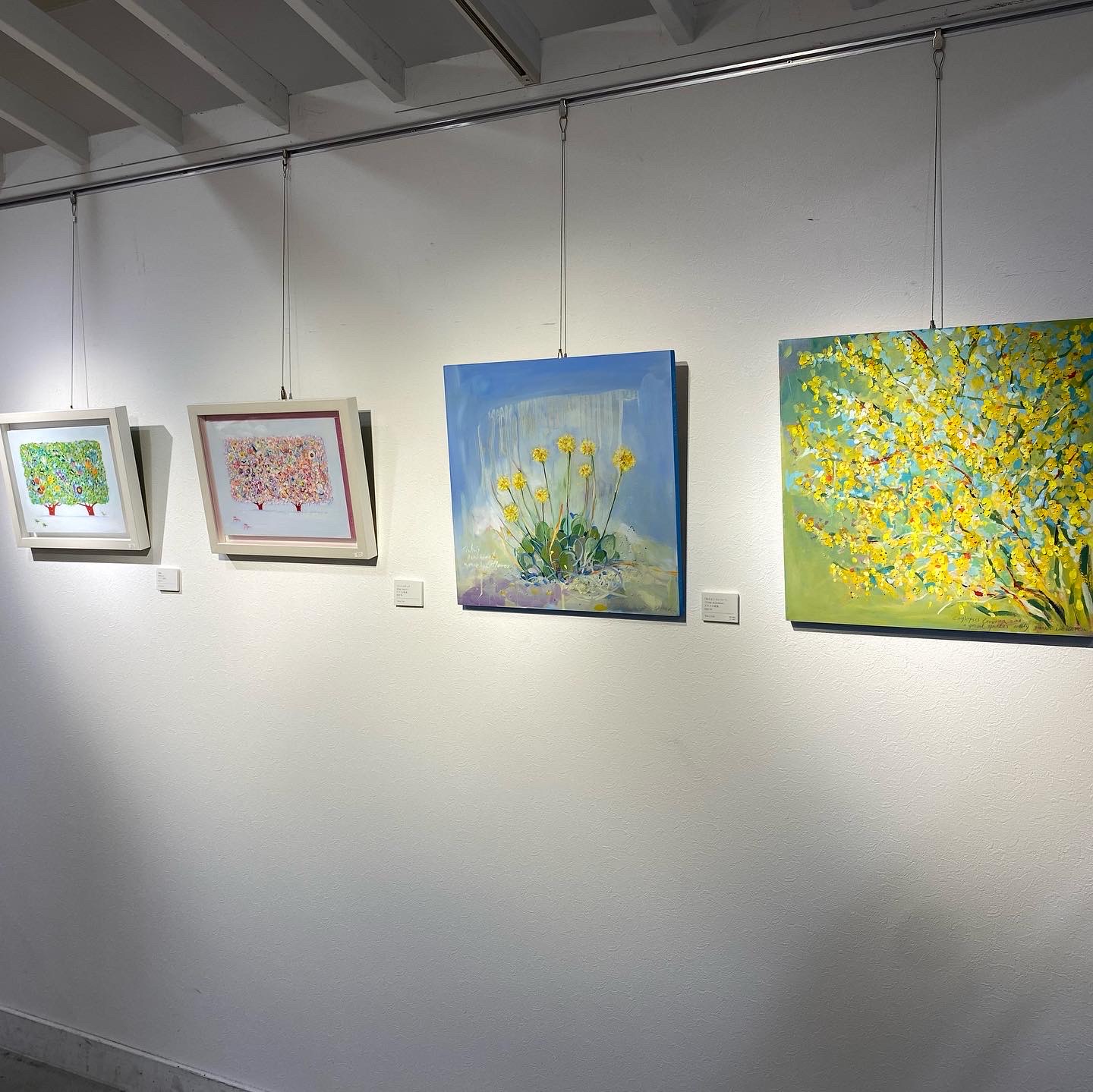 菜の花日和 -Umeda SOUQ, Hankyu Department store, Osaka, Japan